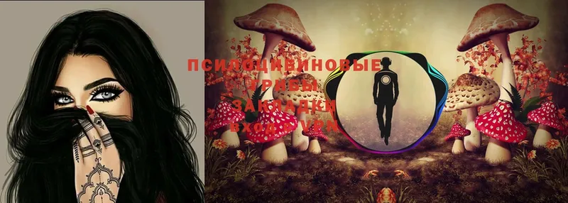 Галлюциногенные грибы MAGIC MUSHROOMS  Партизанск 